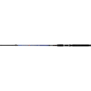 SPINNING ATEMI CLASSIX 1,95M 10-30g
